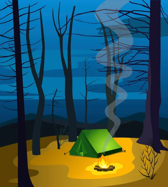Acampar Floresta Noite — Vetor de Stock