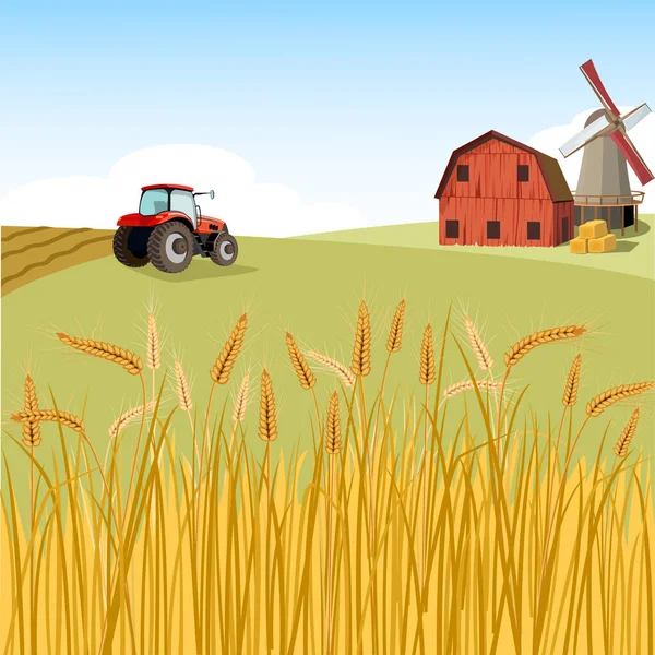 Village Wheat Field Tractor — Stock Vector