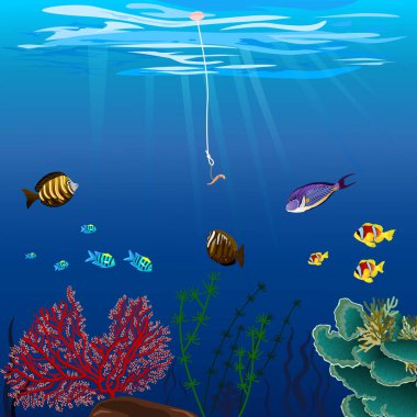 Mercan resifi balığı kancadaki solucana bak.