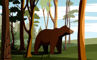 Ayı ormandan çıkar.