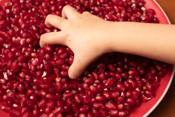 Child\'s hand picks pomegranate seeds