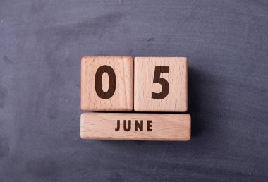 5 Haziran tahta bloklarla yazılmış