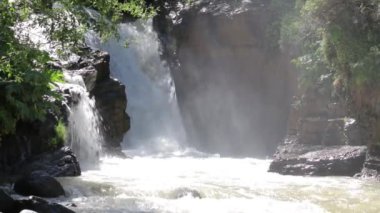 Yeşil ormanda güneş ışığı olan şelale