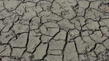 Kuraklık: Kuru kırık dünya.