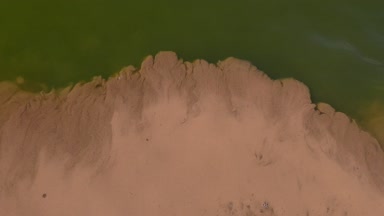 Kıyıya yakın yerde yumurtaları tuzlu karides (Artemia salina) konsantre.