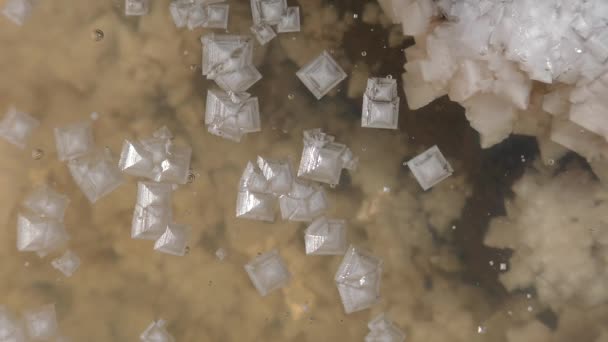 Kristallen van zout drijven op het oppervlak van een plas op een dorre zoutmeer. — Stockvideo