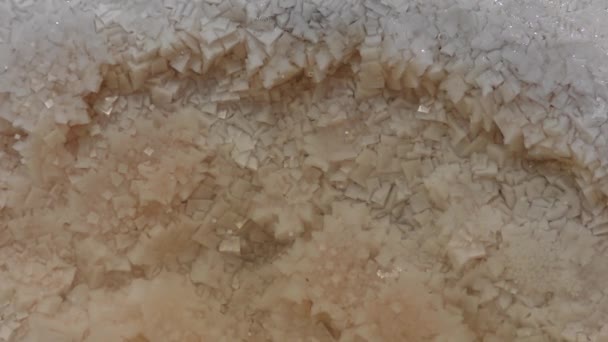 Kristallen van zout op de bodem van een plas op een dorre zoutmeer. — Stockvideo