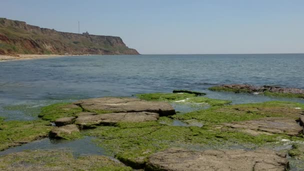 Argilla ripida sponda dell'estuario . — Video Stock