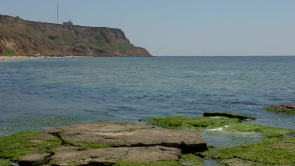 Argilla ripida sponda dell'estuario . — Video Stock