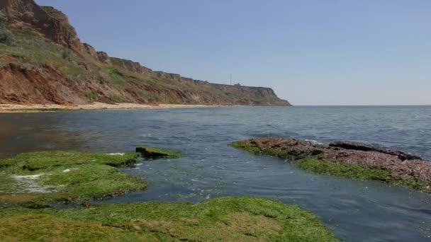 Argilla ripida sponda dell'estuario . — Video Stock