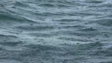 Yağmur damlaları deniz yüzeyinde düşmek.