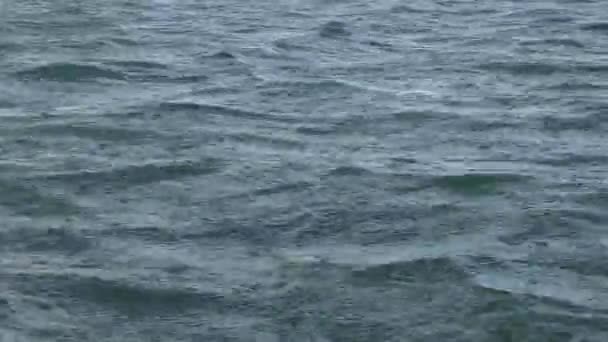 Des gouttes de pluie tombent sur la surface de la mer . — Video