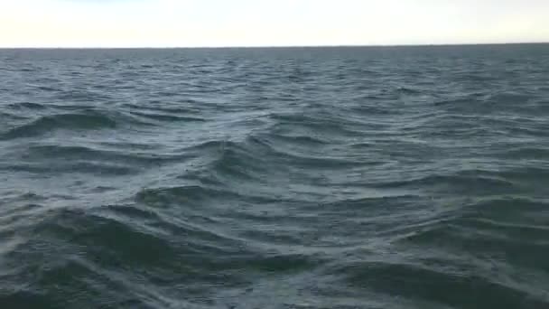 Caen gotas de lluvia sobre la superficie del mar . — Vídeos de Stock