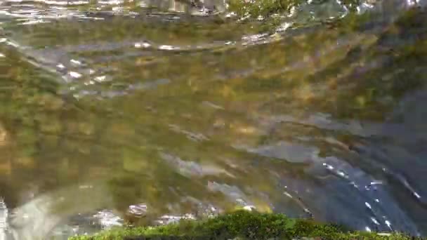 Un pequeño río: un arroyo de agua entre las rocas . — Vídeos de Stock