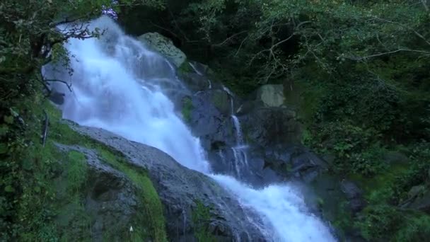 Cachoeira: queda de água barulhenta . — Vídeo de Stock