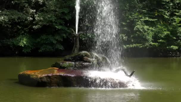 Parque Sofiyivka: la fuente "Serpiente", primer plano . — Vídeos de Stock