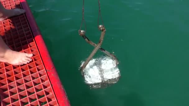 Investigación marina: El muestreador para el muestreo de animales de fondo (agarrador de fondo) se eleva en la cubierta de un buque científico . — Vídeos de Stock