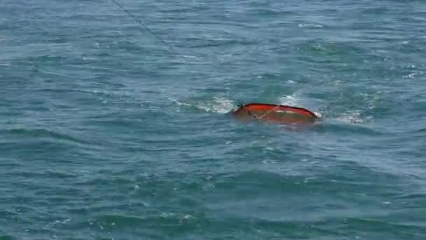 海洋の研究: ニューストンの浮遊性の生物を勉強してネット. — ストック動画
