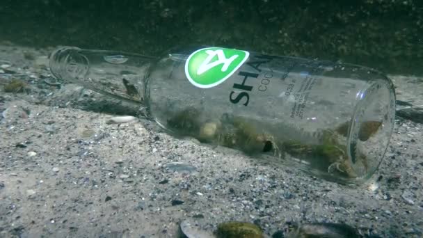 Śmieci Morzu Butelki Który Stał Się Pułapką Dla Pustelnika Kraby — Wideo stockowe