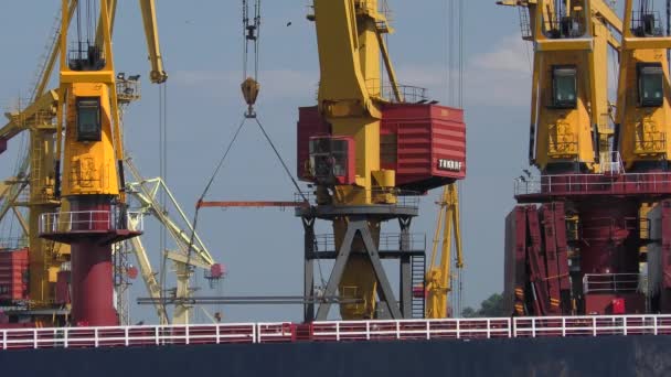 Lavori delle gru portuali sul carico della nave . — Video Stock