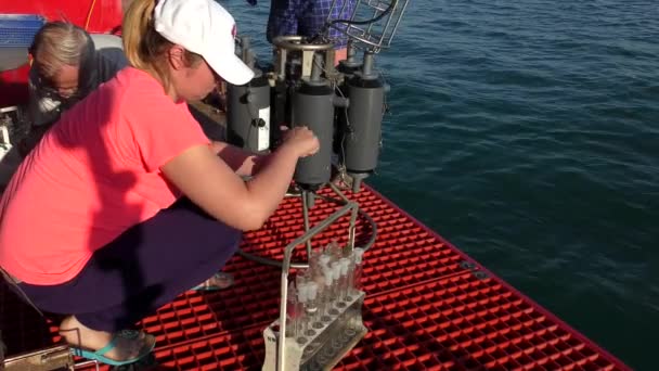 Ricerca marina: Una ragazza preleva un campione d'acqua da un bagnometro . — Video Stock
