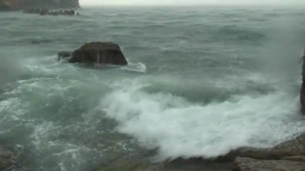 Zware regen op het zeeoppervlak, medium shot. — Stockvideo