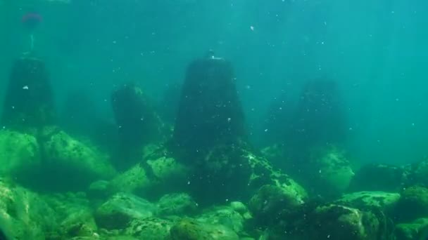 물 속에서 테트라포드의 해안 보호 유압 구조물. — 비디오