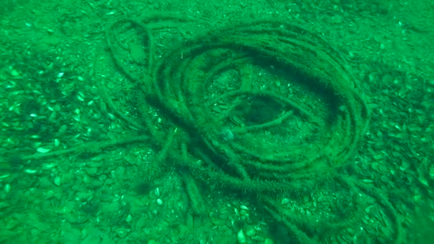 Rastros de tendido de cables en el fondo del mar: bobina de cable . — Vídeo de stock
