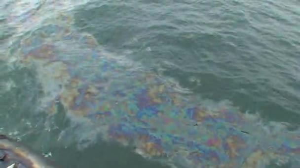 Poluição marinha: manchas de petróleo na superfície conturbada do mar. — Vídeo de Stock