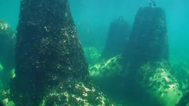 Strutture idrauliche di protezione costiera dei tetrapodi sott'acqua . — Video Stock