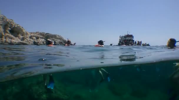 Snorkling: en grupp turister i undervattensmasker på ytan av vattnet, delad. — Stockvideo
