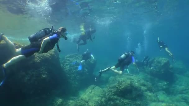 Dykutbildning: grupp av dykare följer instruktören på deras första dyk. — Stockvideo
