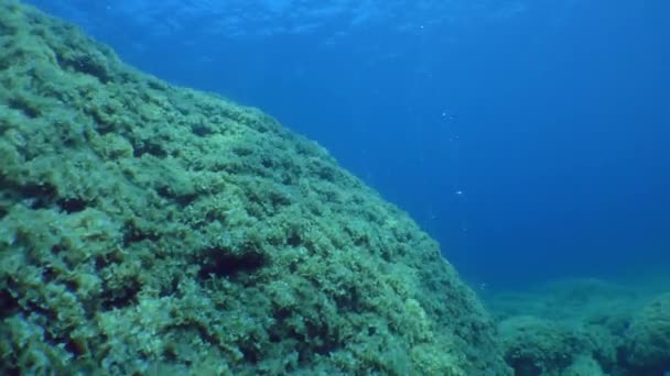 Dykning: kameran rör sig längs en stenig sluttning från vilken rännor av luftbubblor stiger. — Stockvideo