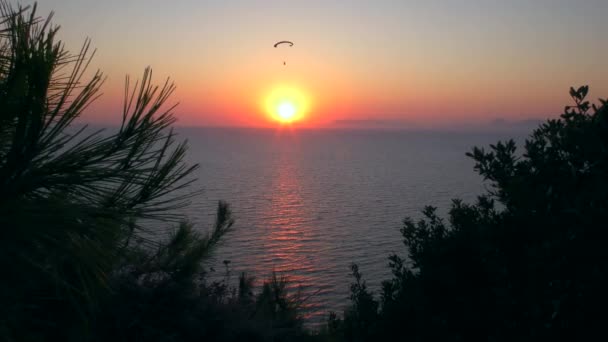 Man op een paraglider tegen de achtergrond van de zee en de ondergaande zon. — Stockvideo