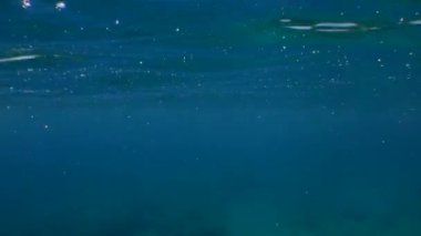 Şnorkelleme: kamera suya dalıyor, önce yüzey manzarasını gösteriyor, sonra da suyun altında..