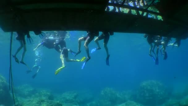 Formation à la plongée : un groupe d'étudiants plongeurs au bord de la plate-forme flottante, vue du bas. — Video