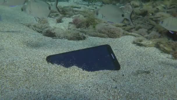 一只迷路的华为智能手机在沙滩底部被一群海斑鱼包围着. — 图库视频影像