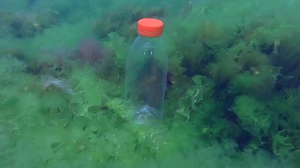 Inquinamento plastico del mare: una bottiglia di PVC ondeggia tra le onde sul fondale marino. — Video Stock