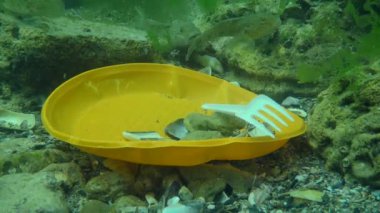 Göletin plastik kirliliği: Deniz tabanındaki plastik atıklar arasında goby balığı.