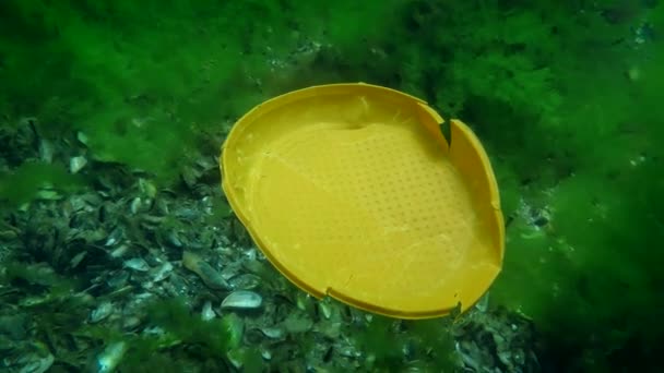 Okyanusun plastik kirliliği: plastik tek kullanımlık bir tabak yavaşça deniz tabanına batar. — Stok video