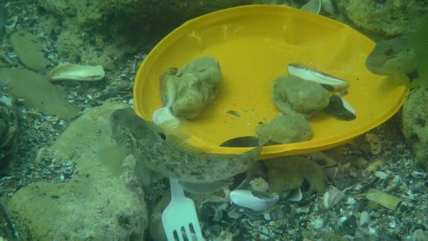 Plastic pollution of the sea: Goby fish among the plastic waste on the seabed. — Stock Video