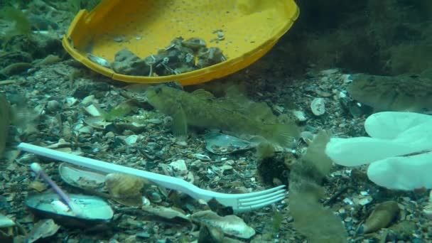 Plastikowe zanieczyszczenie morza: Goby ryb wśród odpadów z tworzyw sztucznych na dnie morza. — Wideo stockowe