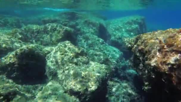 Kameran rör sig över ett stenigt undervattenslandskap. — Stockvideo