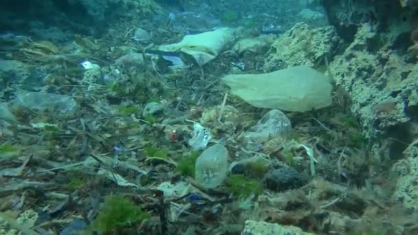 Plastic pollution of the sea: food packaging on the bottom of the sea near the beach area, Mediterranean Sea. — Stock Video