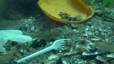 Okyanusun plastik kirliliği: Deniz tabanındaki plastik atıklar arasında goby balığı.