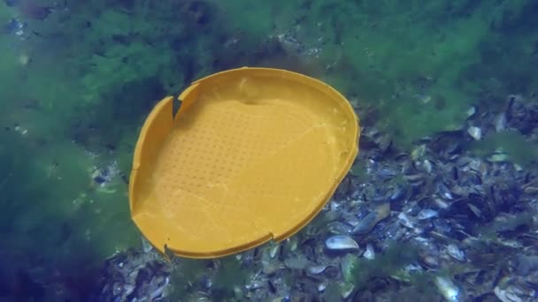 Plastic vervuiling van de zee: een plastic wegwerpschaaltje zinkt langzaam naar de zeebodem. — Stockvideo