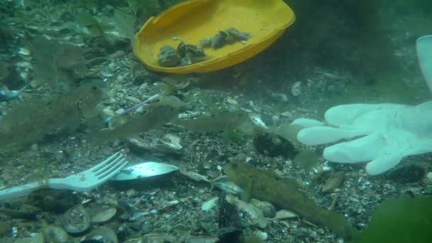 Plastikverschmutzung im Teich: Grundeln im Plastikmüll auf dem Meeresboden. — Stockvideo