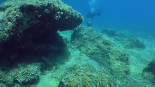 Dykning: kamerarörelse mellan stenar övervuxna med alger. — Stockvideo
