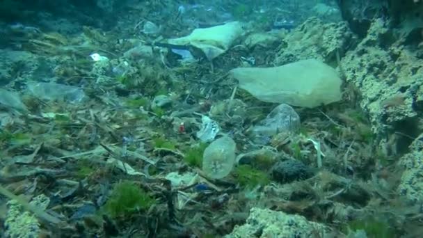 Contaminación plástica del mar: una gran cantidad de desechos plásticos en el fondo del mar, el mar Mediterráneo. — Vídeos de Stock