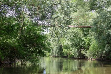 Suda asılı ağaçların yoğun yeşilliğiyle çevrili, doğaçlama bir köprünün altından bir su akıntısı sakince akar. Parlak güneş yaprakları yararak yüzeyde yansımalar oluşturur..